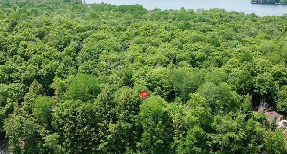 Land/Lot