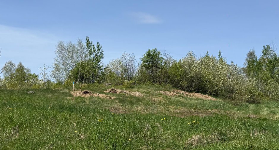Terre/Terrain