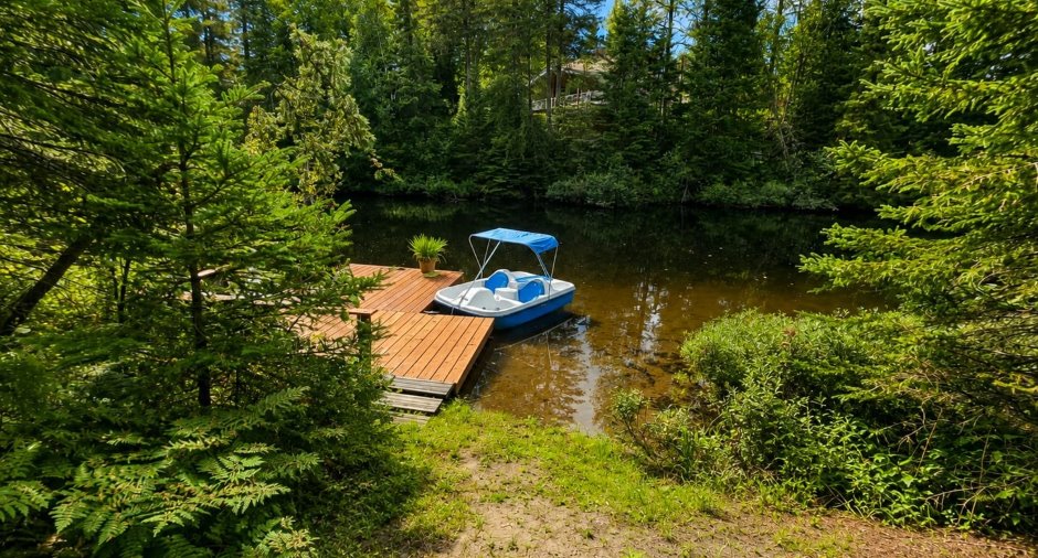 Bord de l'eau