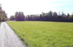 Terre/Terrain