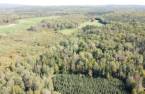 Terre à bois