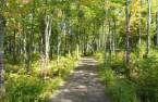 Terre à bois
