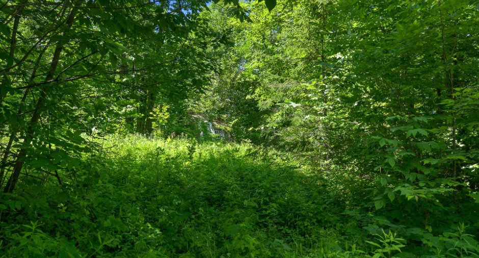 Terre/Terrain