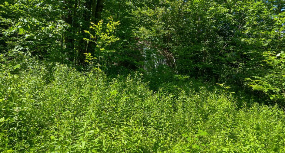 Terre/Terrain