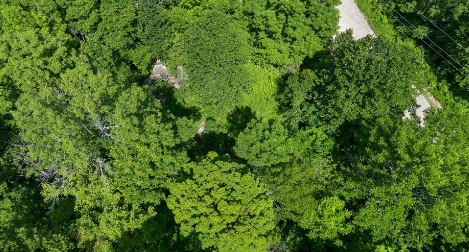 Terre/Terrain
