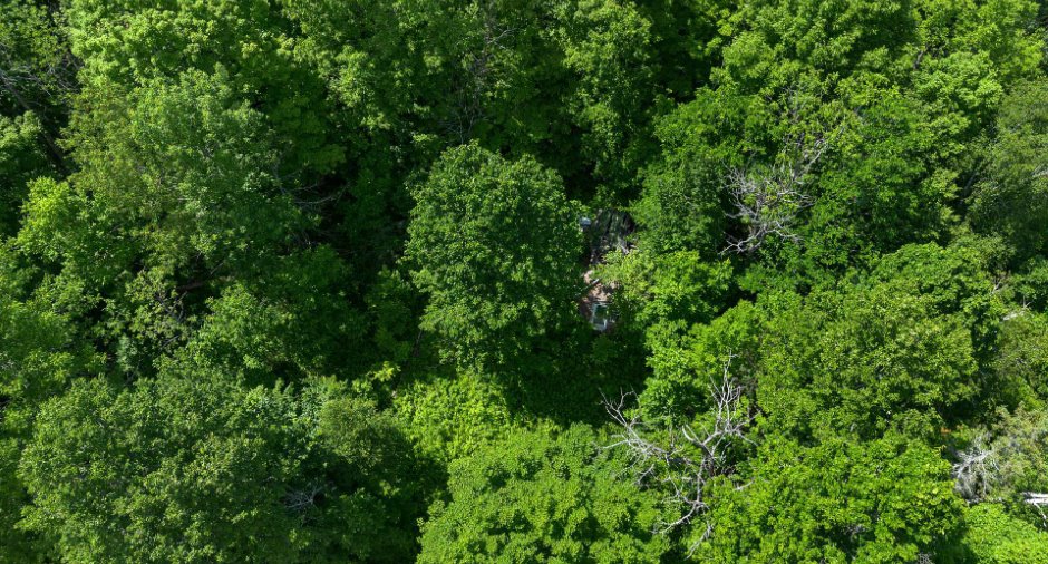 Terre/Terrain