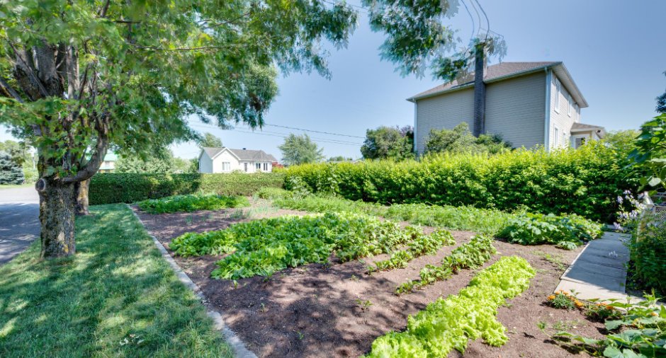 Jardin
