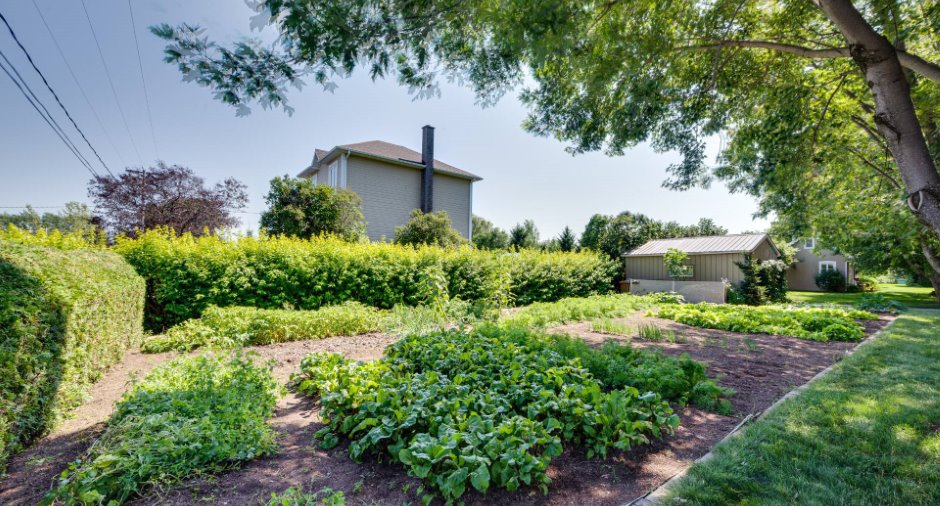 Jardin