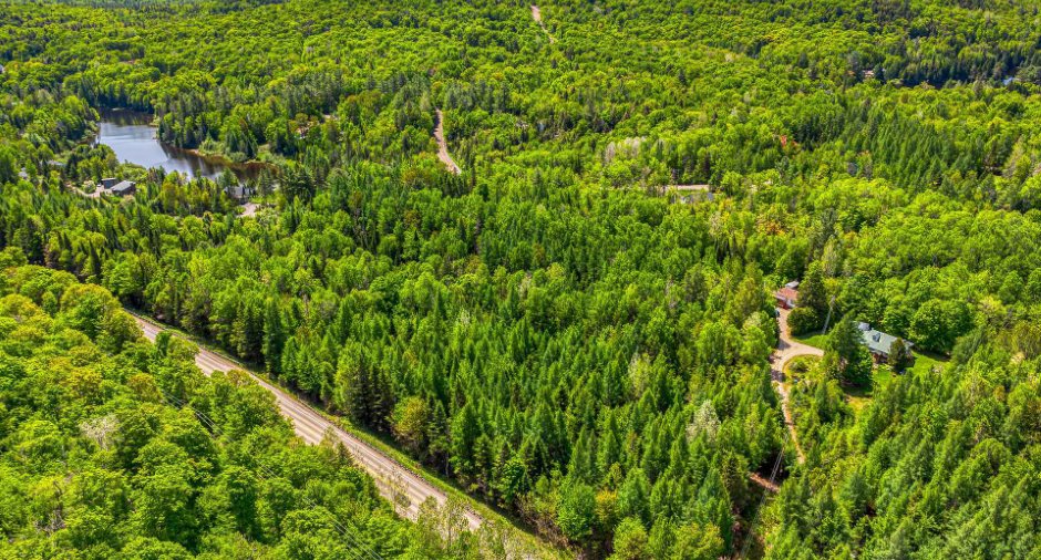 Aerial photo