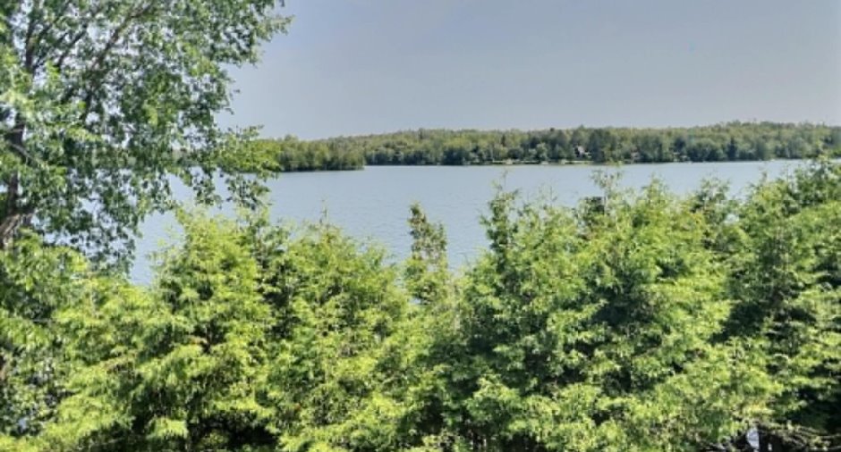 Vue sur l'eau