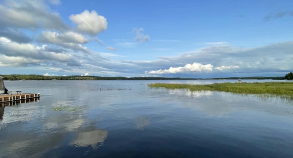 Vue sur l'eau