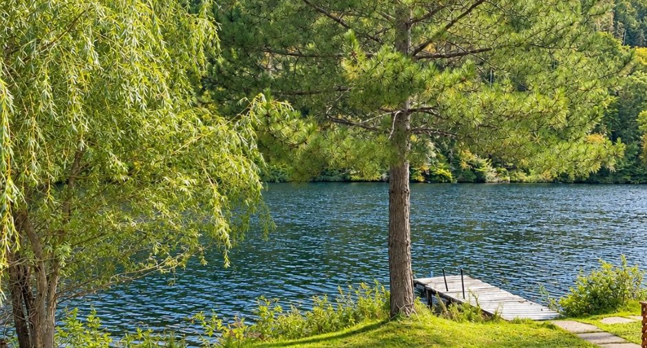 Vue sur l'eau
