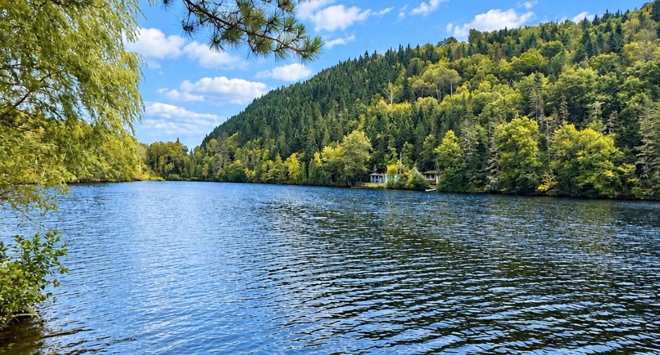 Vue sur l'eau