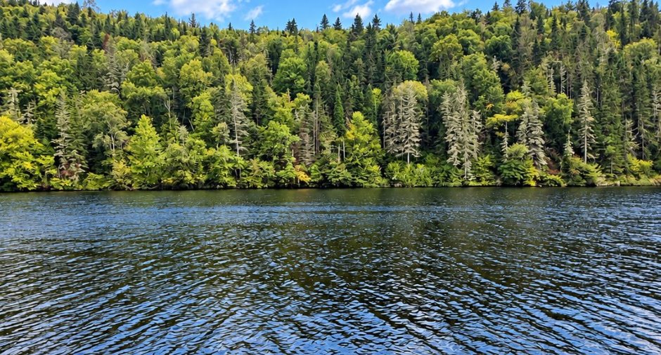 Vue sur l'eau