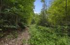 Terre/Terrain