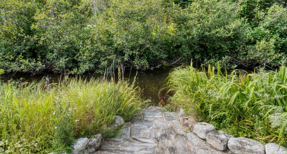 Accès au plan d'eau
