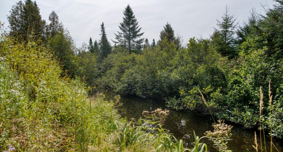 Accès au plan d'eau
