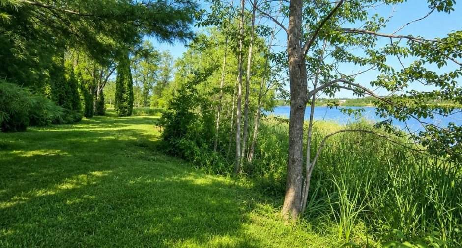 Water view