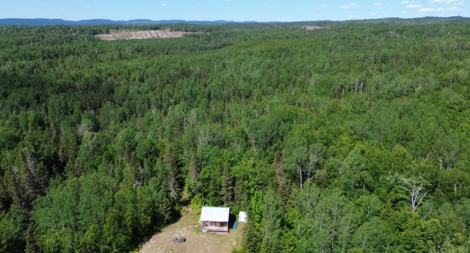 Aerial photo