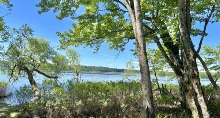 Waterfront