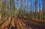 Terre/Terrain