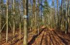 Terre/Terrain