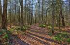 Terre/Terrain
