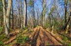 Terre/Terrain