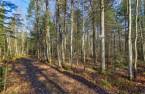 Terre/Terrain