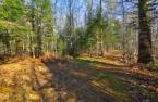 Terre/Terrain
