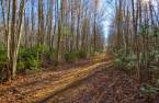 Terre/Terrain