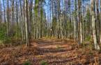 Terre/Terrain