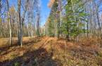 Terre/Terrain