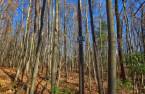 Terre/Terrain