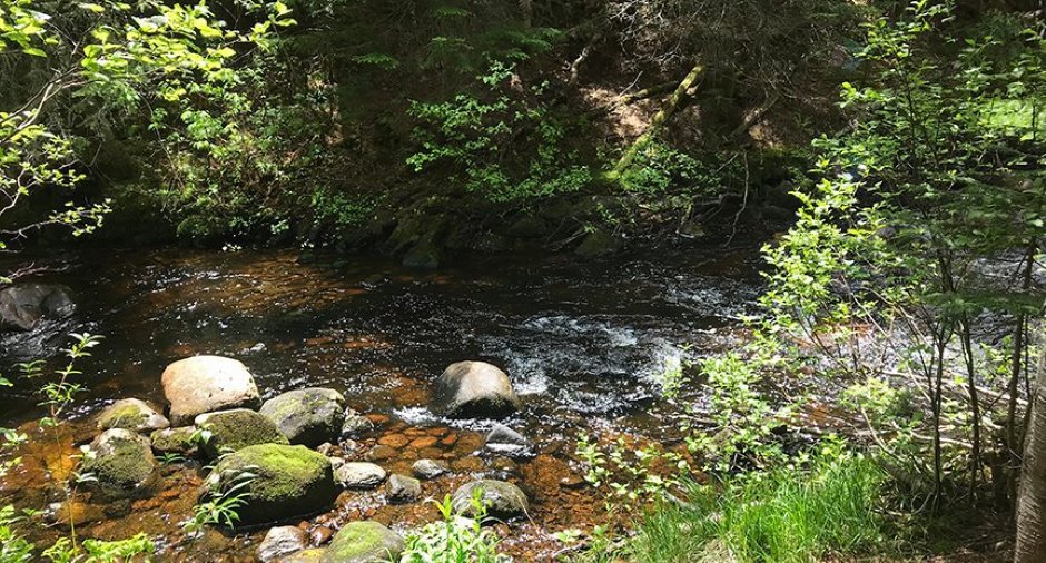 Accès au plan d'eau