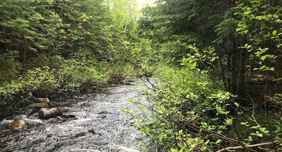 Accès au plan d'eau