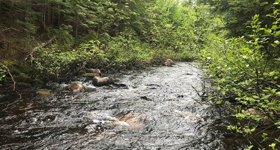 Accès au plan d'eau
