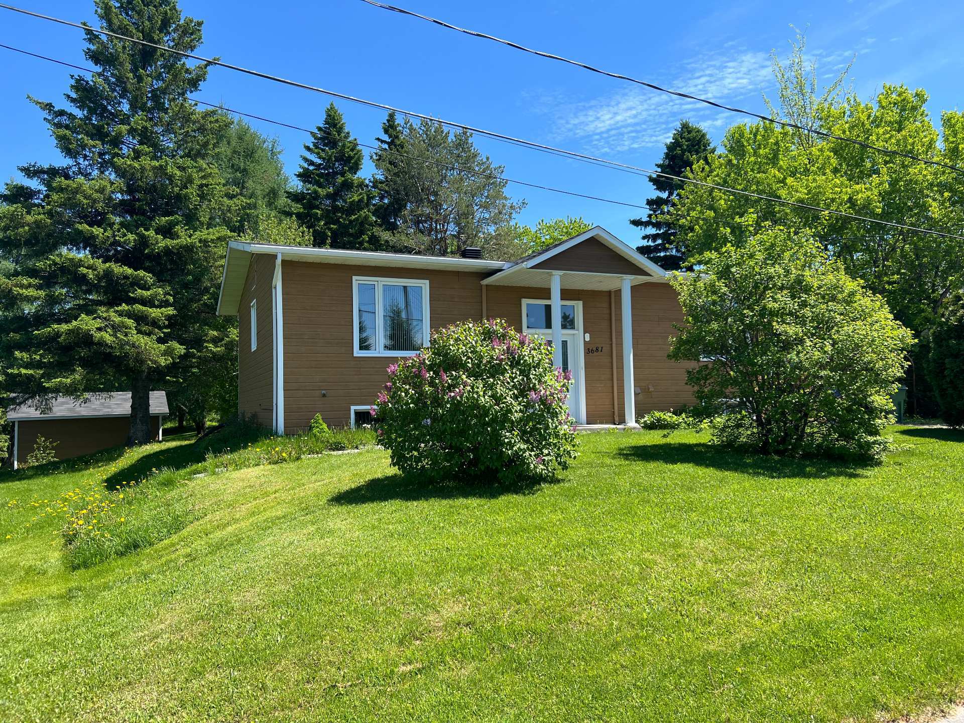 3681 Av. Trefflé-Gilbert — photo 3