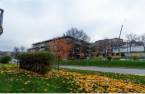 Vue