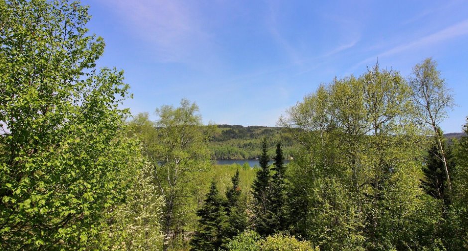Water view