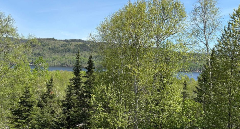 Water view