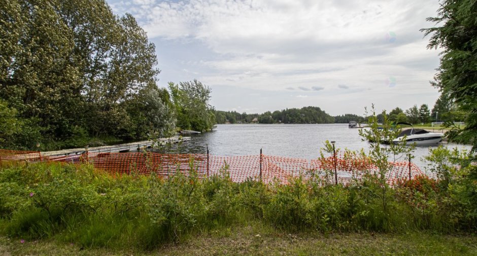 Bord de l'eau