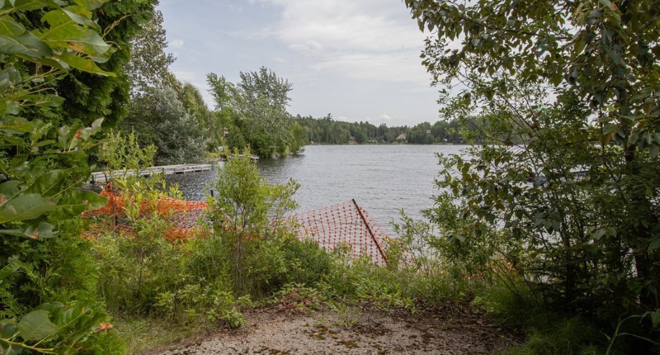 Bord de l'eau