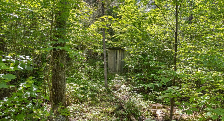 Terre/Terrain
