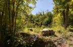 Terre/Terrain