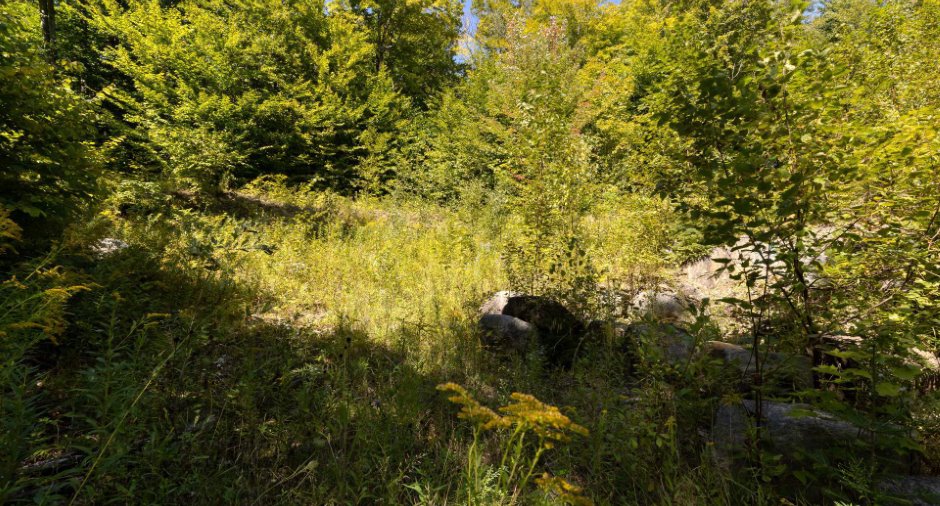 Terre/Terrain