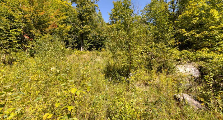 Terre/Terrain