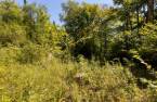 Terre/Terrain