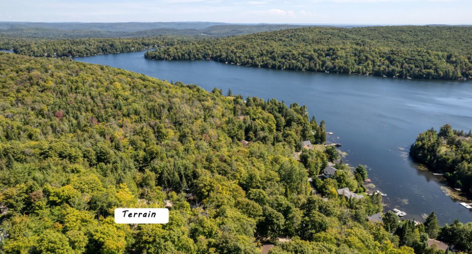 Terre/Terrain