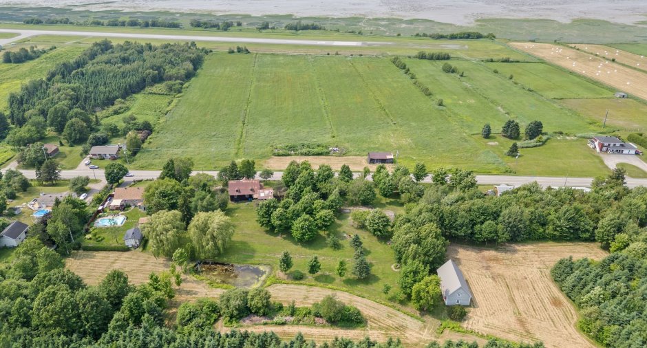 Overall View